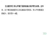 6.3 保护生物的多样性习题课件2024年初中秋季人教版生物八年级上册