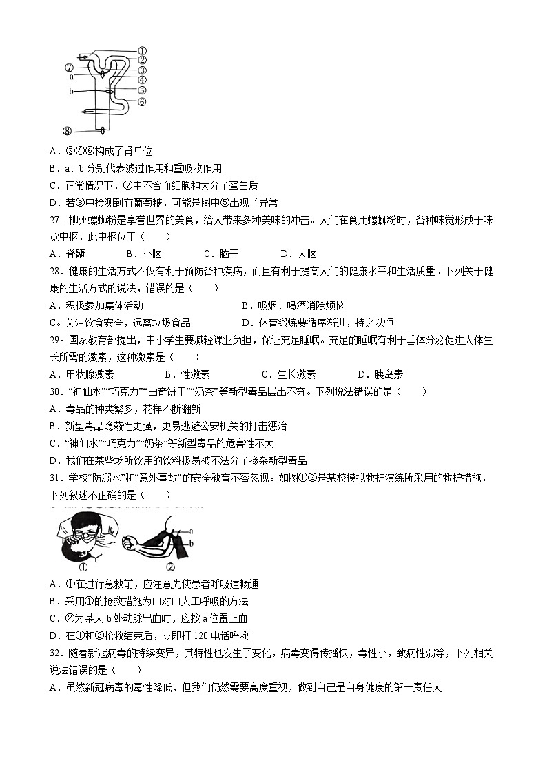 广西百色市田阳区2023-2024学年七年级下学期7月期末生物试题02