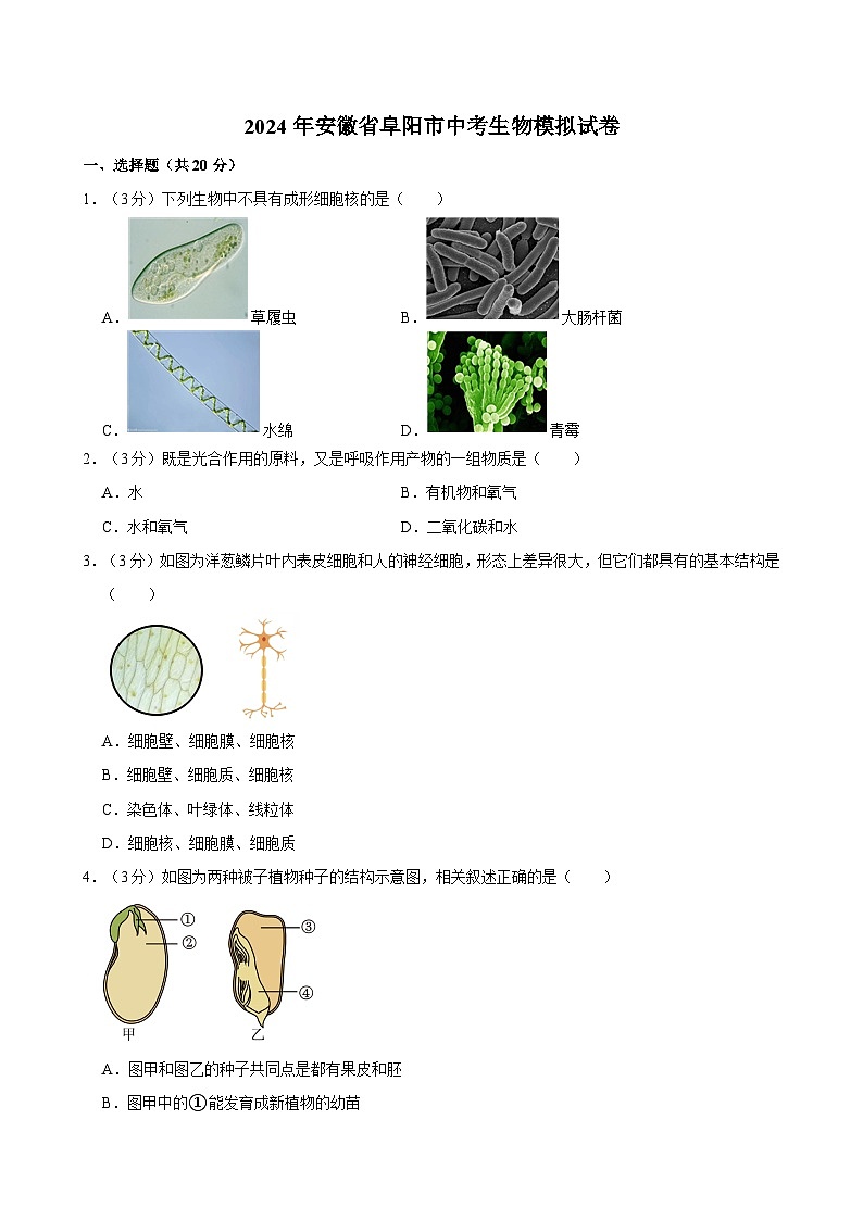 2024年安徽省阜阳市中考生物模拟试卷第1页