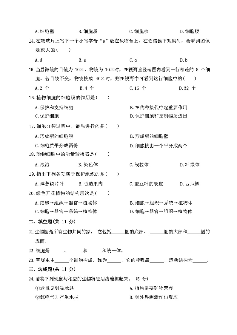2023年秋广东广州市人教版七年级生物上册期中考试卷及答案第3页