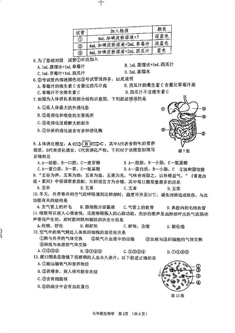 广东省江门市蓬江区2023-2024学年七年级下学期期末调研考试生物试题第2页