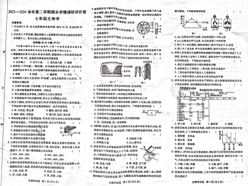 河南省永城市2023-2024学年七年级下学期期末评价生物试卷第1页