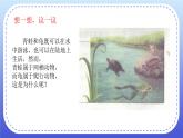 5.1.5两栖类和爬行类课件 2024年初中秋季人教版生物八年级上册