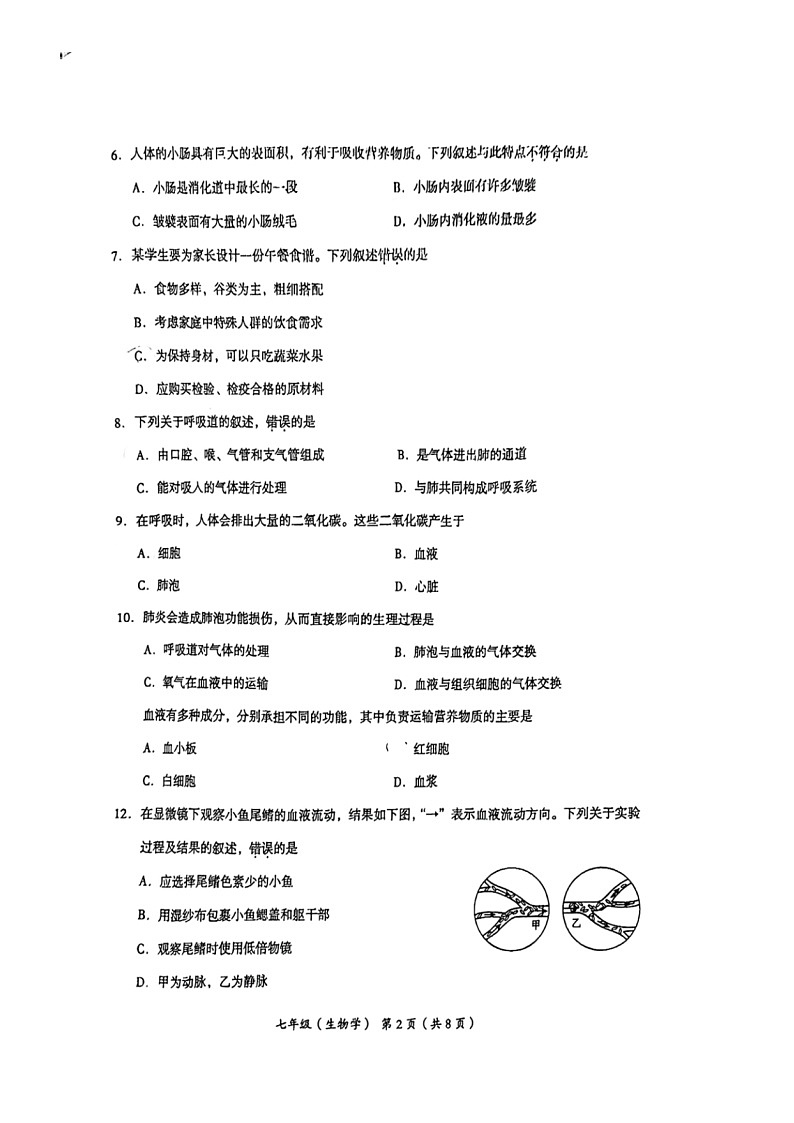 [生物]2024北京海淀初一下学期期末生物试卷及答案第2页