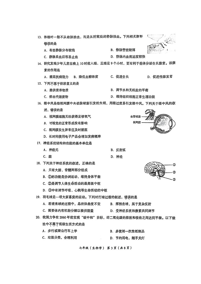 [生物]2024北京海淀初一下学期期末生物试卷及答案第3页