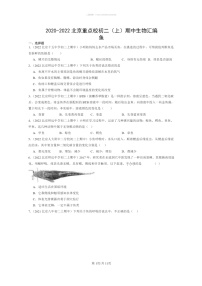 [生物]2020～2022北京重点校初二上学期期中生物试题分类汇编：鱼