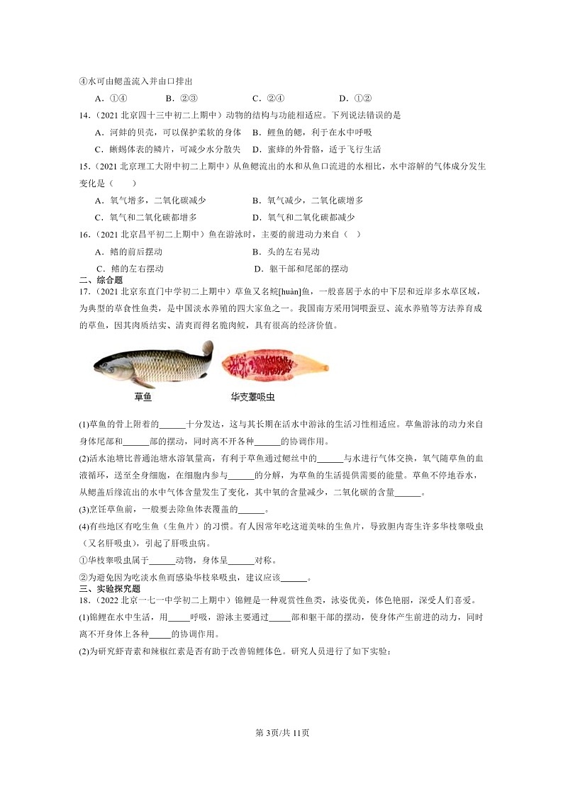 [生物]2020～2022北京重点校初二上学期期中生物试题分类汇编：鱼第3页