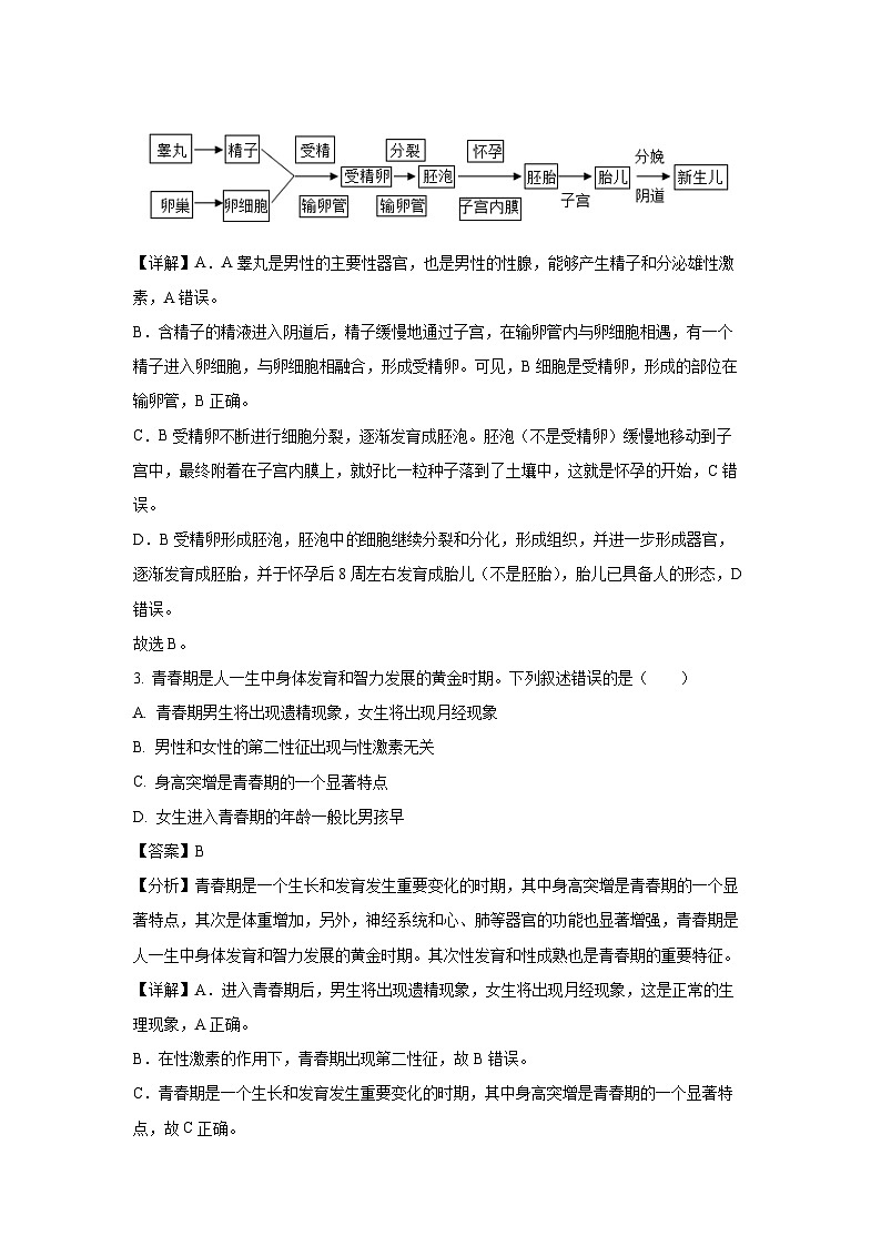 [生物]辽宁省凌海市2023-2024学年七年级下学期期中试题(解析版)第2页