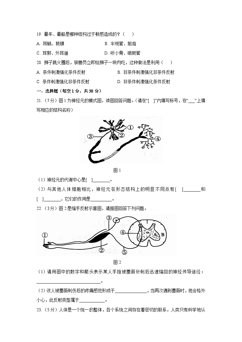 [生物]河南省驻马店市第二初级中学2023-2024学年七年级下学期6月期末试题第3页