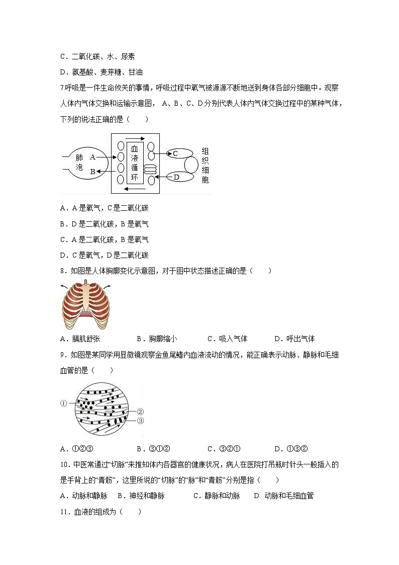 [生物]四川省绵阳市游仙区2023-2024学年七年级下学期6月期末试题02