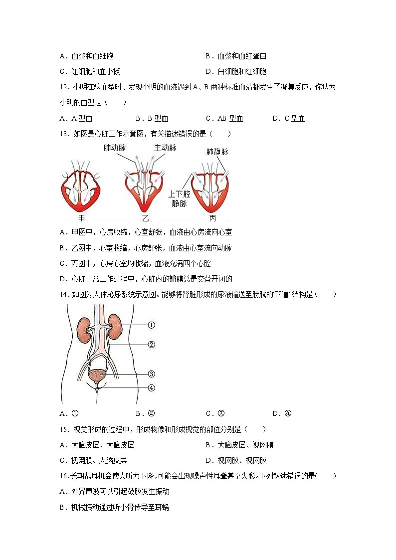[生物]四川省绵阳市游仙区2023-2024学年七年级下学期6月期末试题03