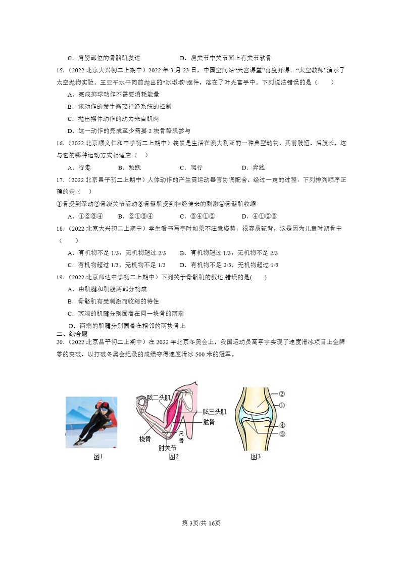 [生物]2022北京重点校初二上学期期中生物试题分类汇编：动物的运动第3页