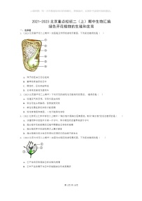 [生物]2021～2023北京重点校初二上学期期中生物试题分类汇编：绿色开花植物的生殖和发育