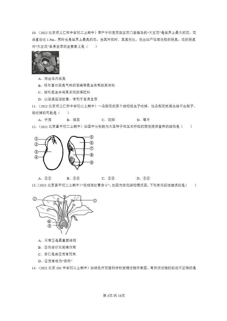 [生物]2021～2023北京重点校初二上学期期中生物试题分类汇编：绿色开花植物的生殖和发育03