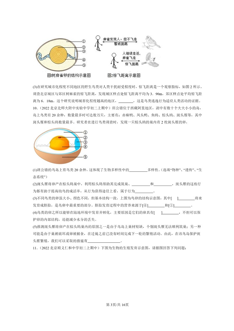 [生物]2021～2023北京重点校初二上学期期中生物试题分类汇编：鸟的生殖和发育03