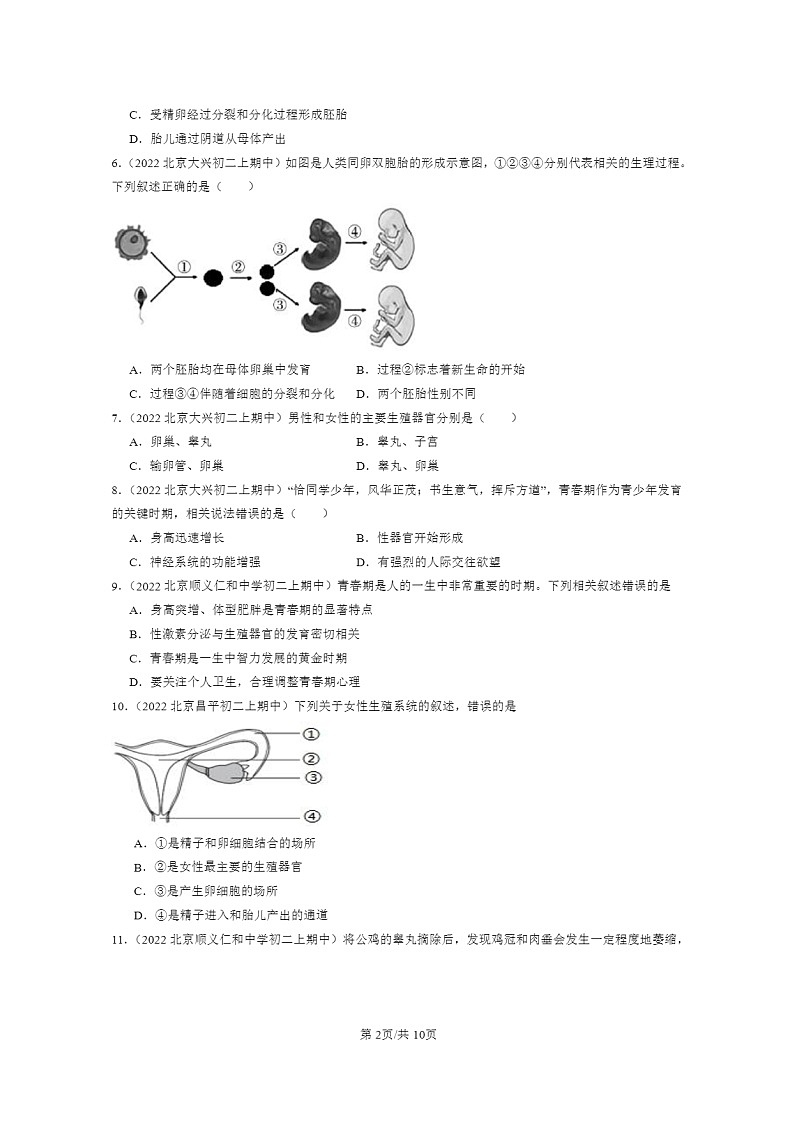 [生物]2021～2023北京重点校初二上学期期中生物试题分类汇编：人的生殖和发育第2页
