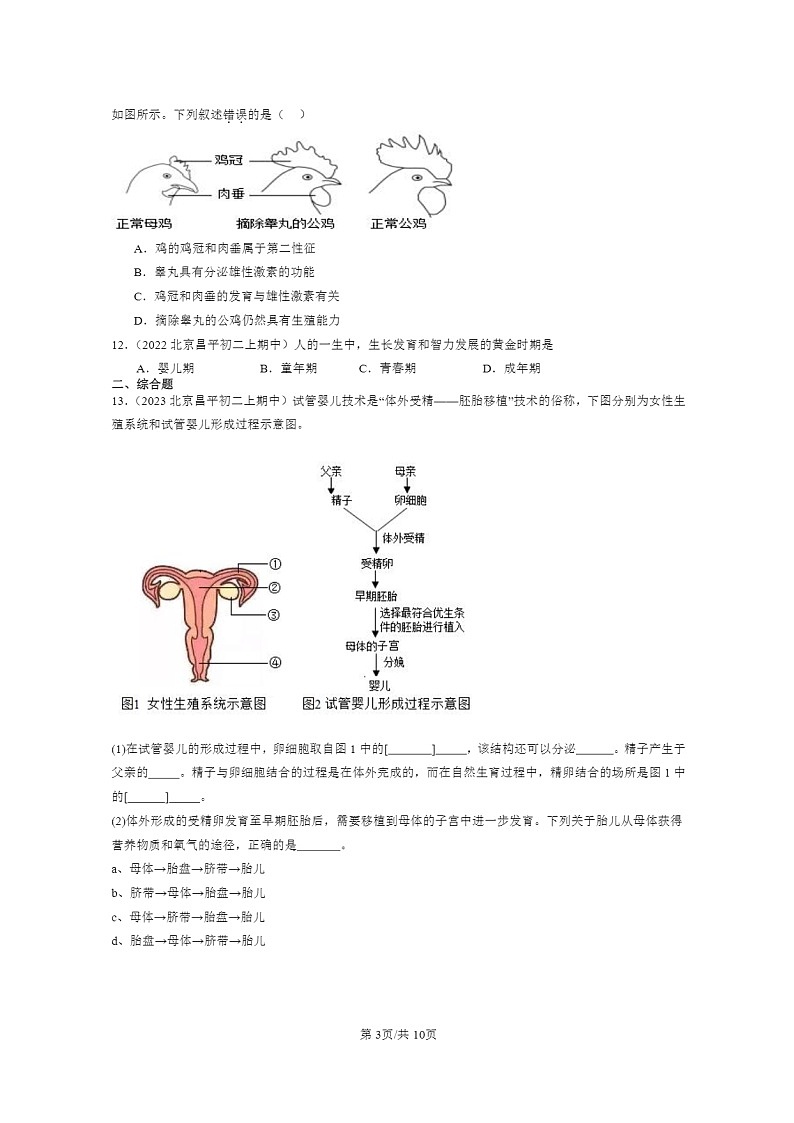[生物]2021～2023北京重点校初二上学期期中生物试题分类汇编：人的生殖和发育第3页