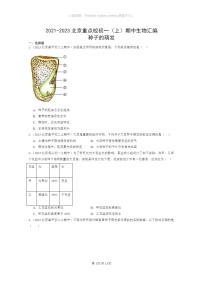 [生物]2021～2023北京重点校初一上学期期中生物试题分类汇编：种子的萌发