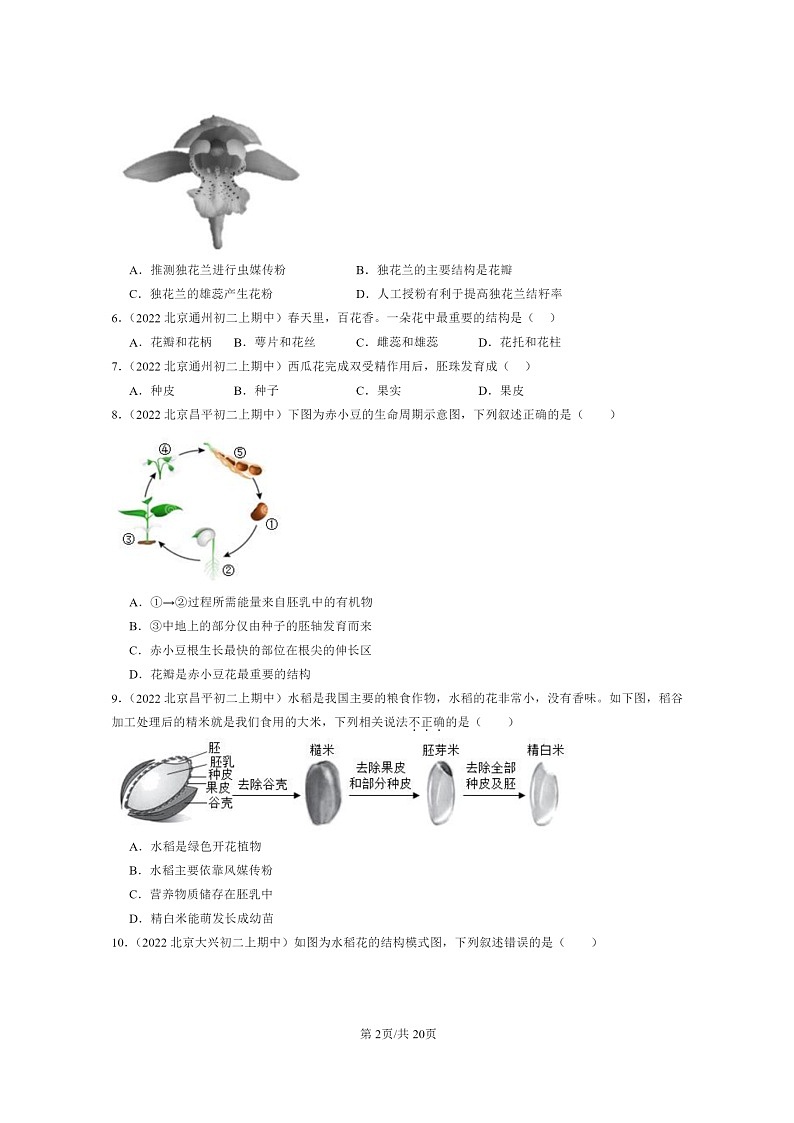 [生物]2021～2023北京重点校初一上学期期中生物试题分类汇编：开花和结果第2页
