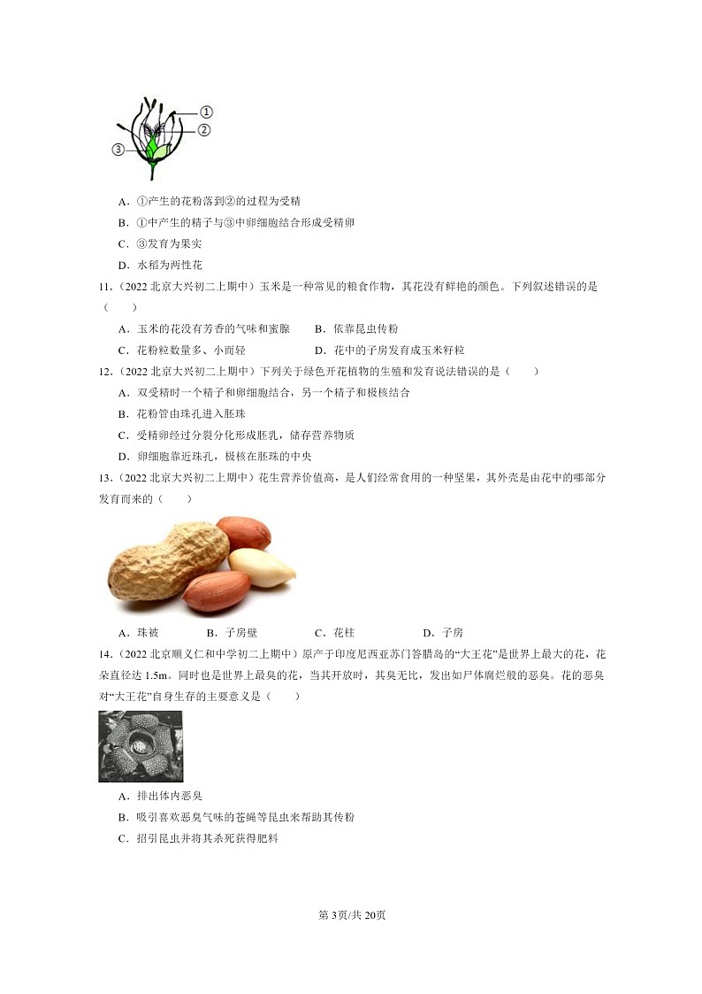 [生物]2021～2023北京重点校初一上学期期中生物试题分类汇编：开花和结果第3页