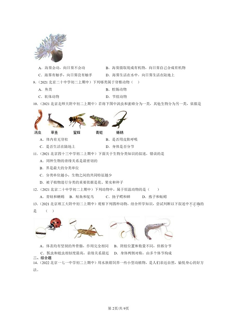 [生物]2020～2022北京重点校初二上学期期中生物试题分类汇编：根据生物的特征进行分类章节综合02