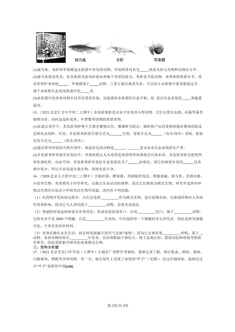 [生物]2020～2022北京重点校初二上学期期中生物试题分类汇编：根据生物的特征进行分类章节综合03