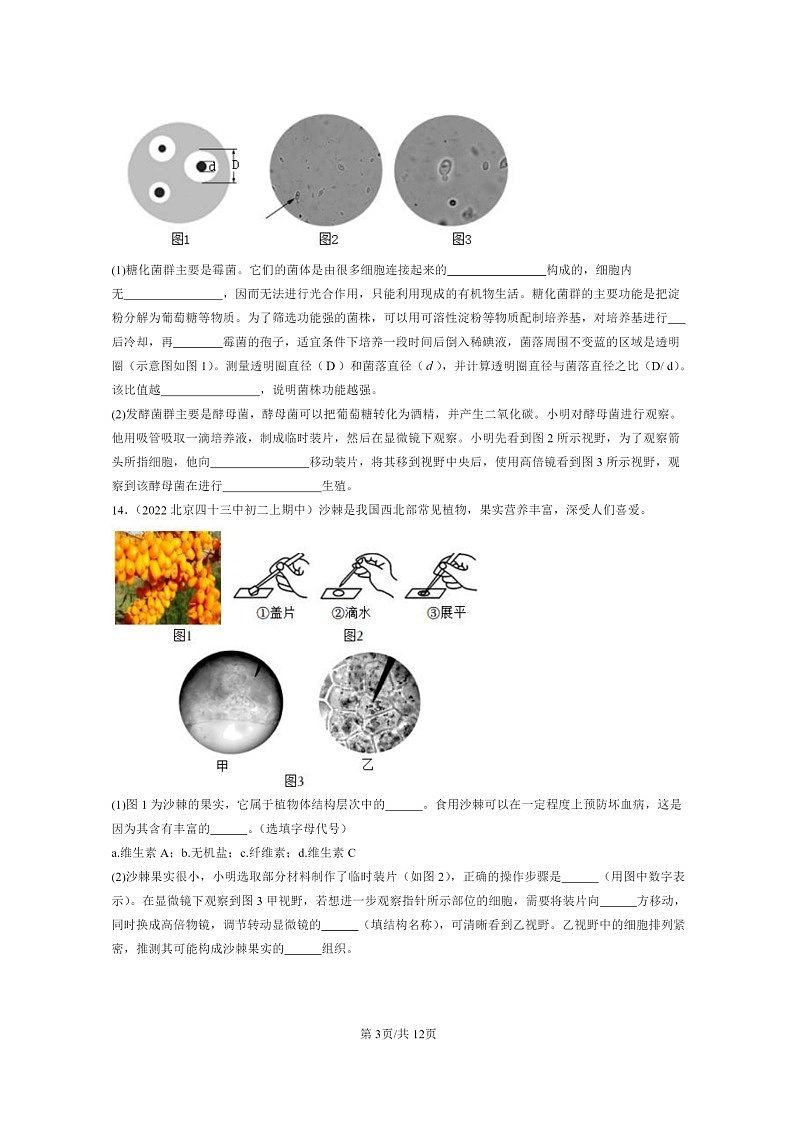 [生物]2020～2022北京重点校初二上学期期中生物试题分类汇编：人类对细菌和真菌的利用第3页