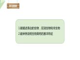 1.1.1 生物的基本特征 课件2024年初中秋季济南版生物七年级上册