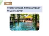 1.1.1 生物的基本特征 课件2024年初中秋季济南版生物七年级上册