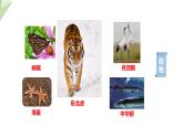 1.1.1 生物的基本特征 课件2024年初中秋季济南版生物七年级上册