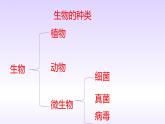 1.1.1生物的基本特征 课件 2024年初中秋季济南版生物七年级上册