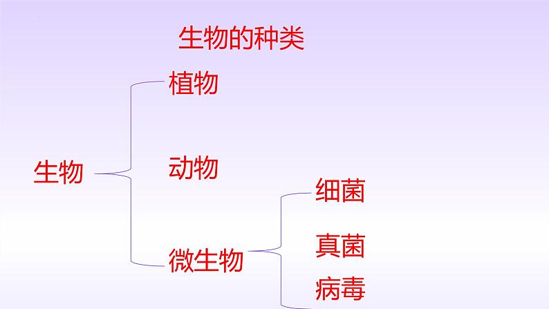 1.1.1生物的基本特征 课件 2024年初中秋季济南版生物七年级上册第4页