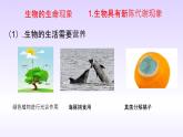 1.1.1生物的基本特征 课件 2024年初中秋季济南版生物七年级上册
