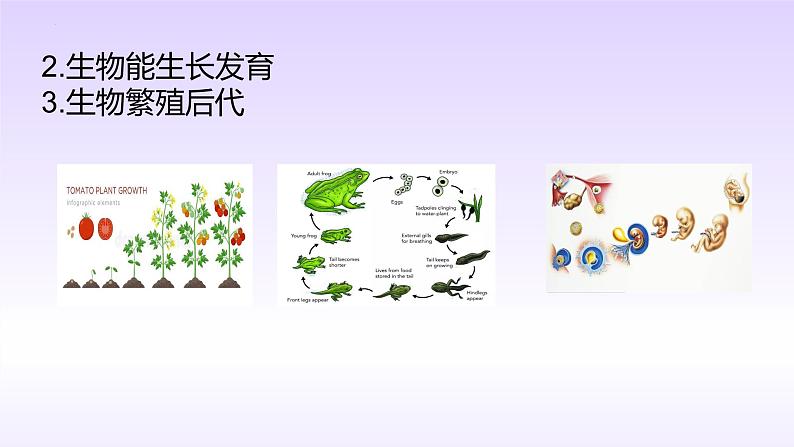 1.1.1生物的基本特征 课件 2024年初中秋季济南版生物七年级上册第8页