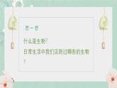 1.1.1生物的基本特征课件   2024年初中秋季济南版生物七年级上册