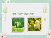 1.1.1生物的基本特征课件   2024年初中秋季济南版生物七年级上册