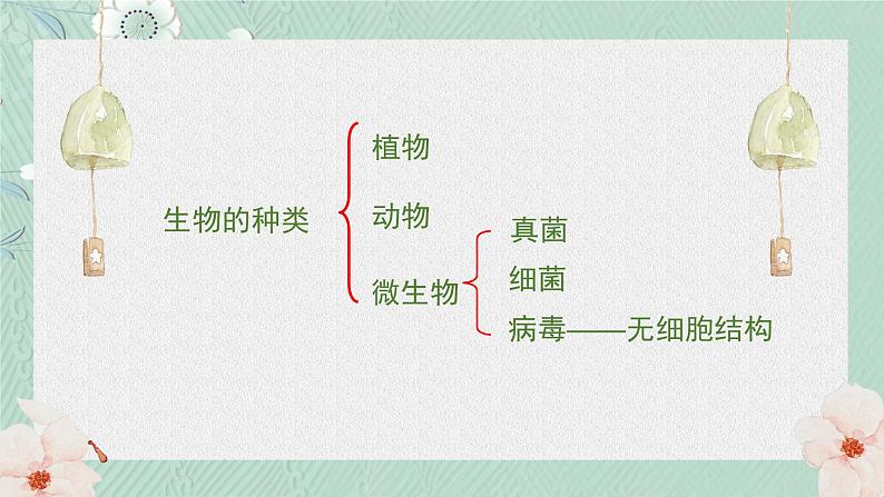 1.1.1生物的基本特征课件   2024年初中秋季济南版生物七年级上册04