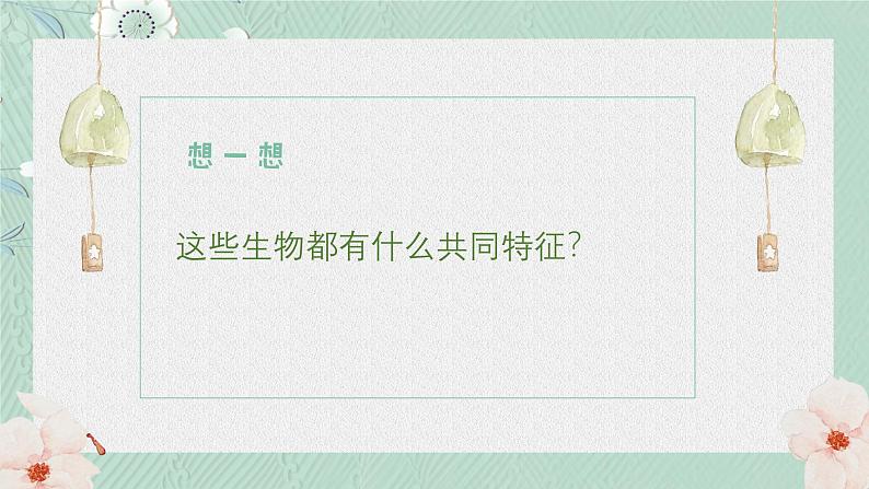 1.1.1生物的基本特征课件   2024年初中秋季济南版生物七年级上册06