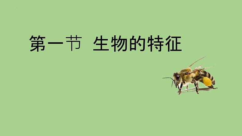 1.1.1生物的基本特征课件 2024年初中秋季济南版生物七年级上册第2页