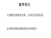 1.1.1生物的基本特征课件 2024年初中秋季济南版生物七年级上册
