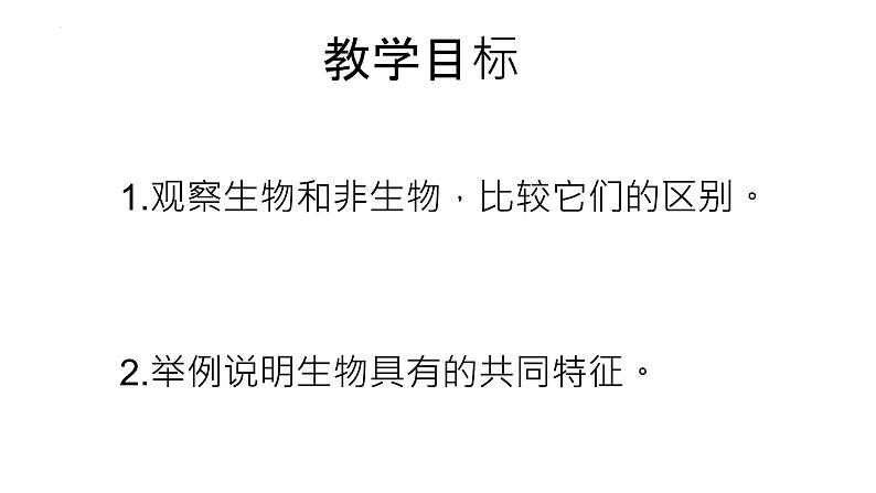 1.1.1生物的基本特征课件 2024年初中秋季济南版生物七年级上册03