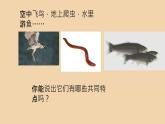 1.1.1生物的基本特征课件---2024年初中秋季济南版生物七年级上册