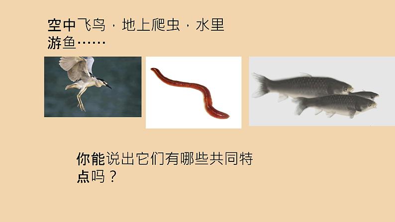 1.1.1生物的基本特征课件---2024年初中秋季济南版生物七年级上册03