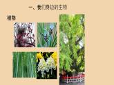 1.1.1生物的基本特征课件---2024年初中秋季济南版生物七年级上册