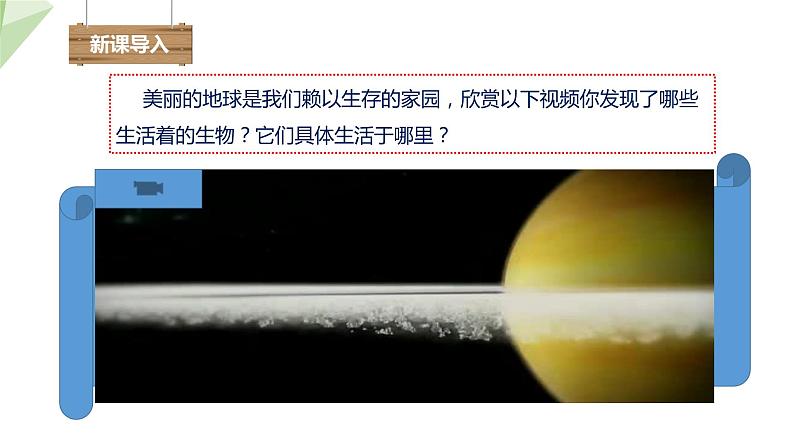 1.1.2 生物的生活环境 课件 2024年初中秋季济南版生物七年级上册第3页