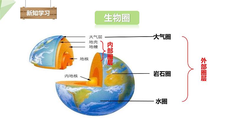 1.1.2 生物的生活环境 课件 2024年初中秋季济南版生物七年级上册第4页