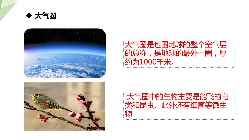 1.1.2 生物的生活环境 课件 2024年初中秋季济南版生物七年级上册第5页