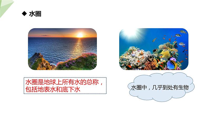 1.1.2 生物的生活环境 课件 2024年初中秋季济南版生物七年级上册第7页