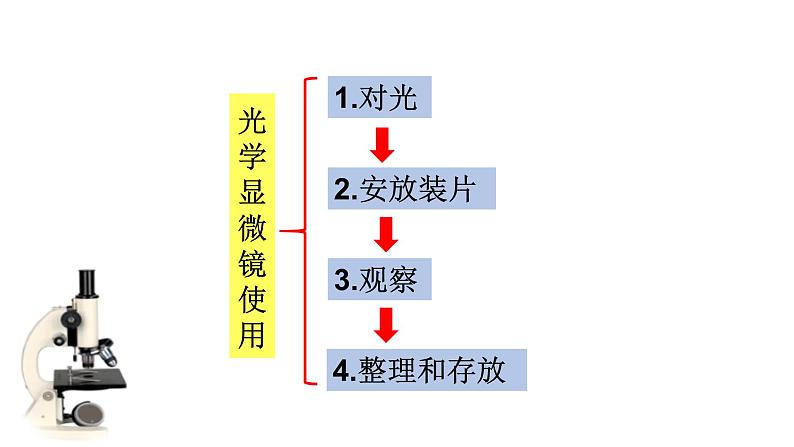 1.1.4  生物学的研究工具(第二课时)  课件 2024年初中秋季济南版生物七年级上册第6页