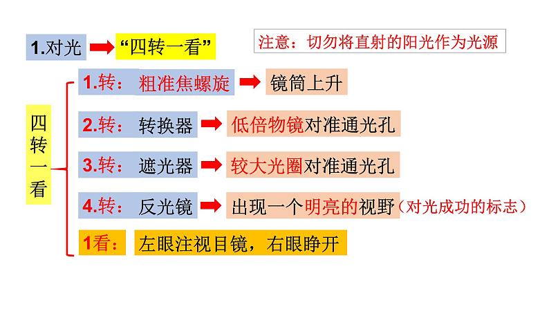 1.1.4  生物学的研究工具(第二课时)  课件 2024年初中秋季济南版生物七年级上册第7页